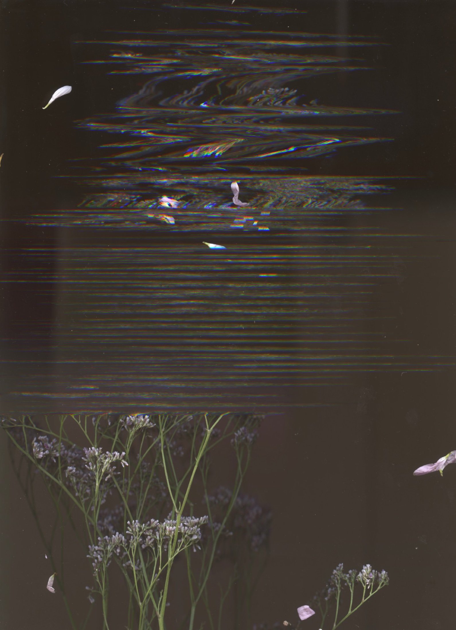 Expérimentation scan