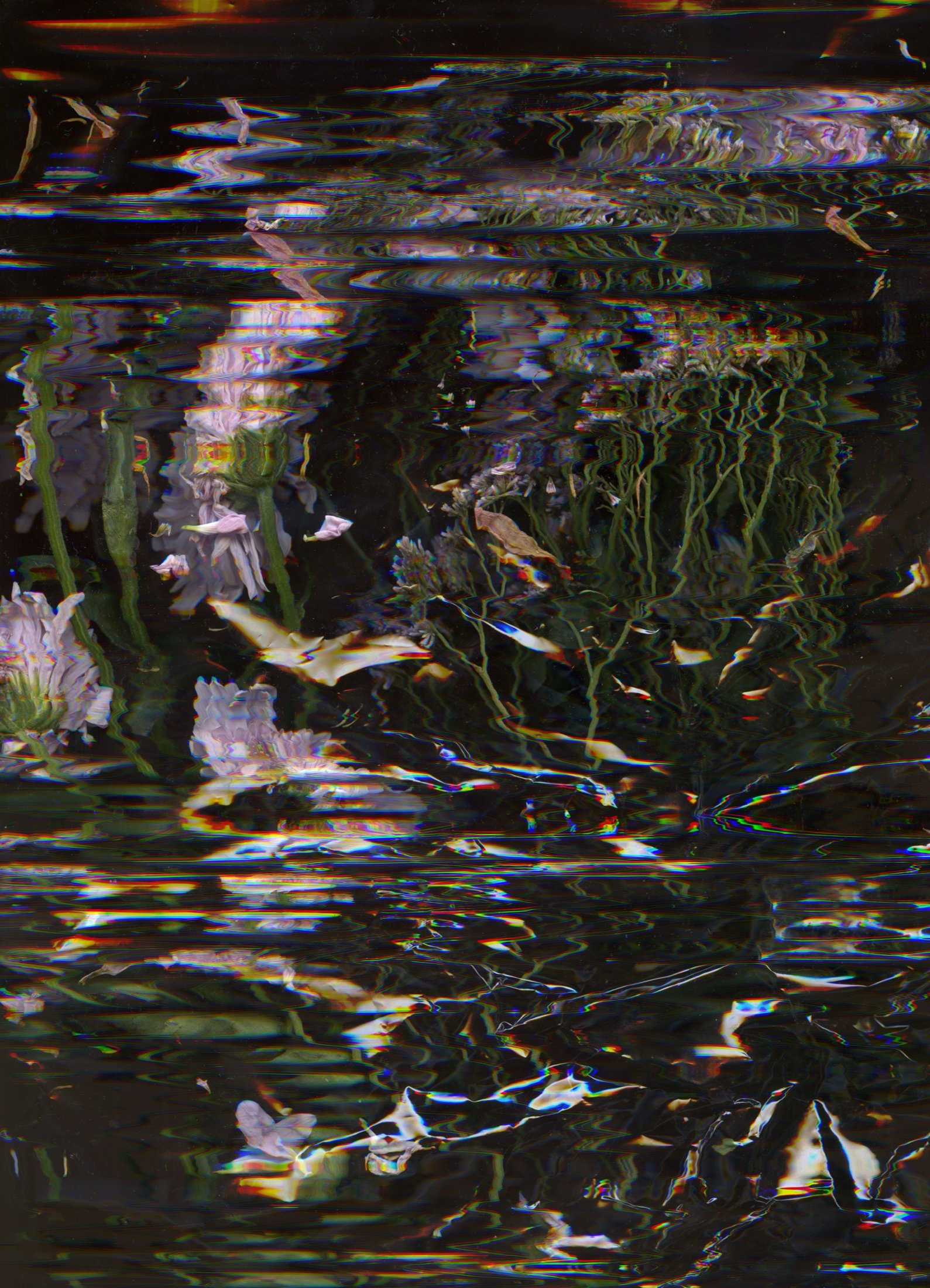 Expérimentation scan