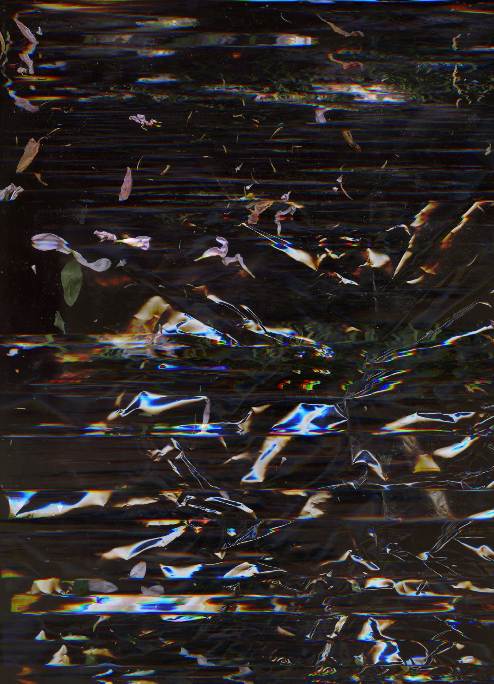 Expérimentation scan