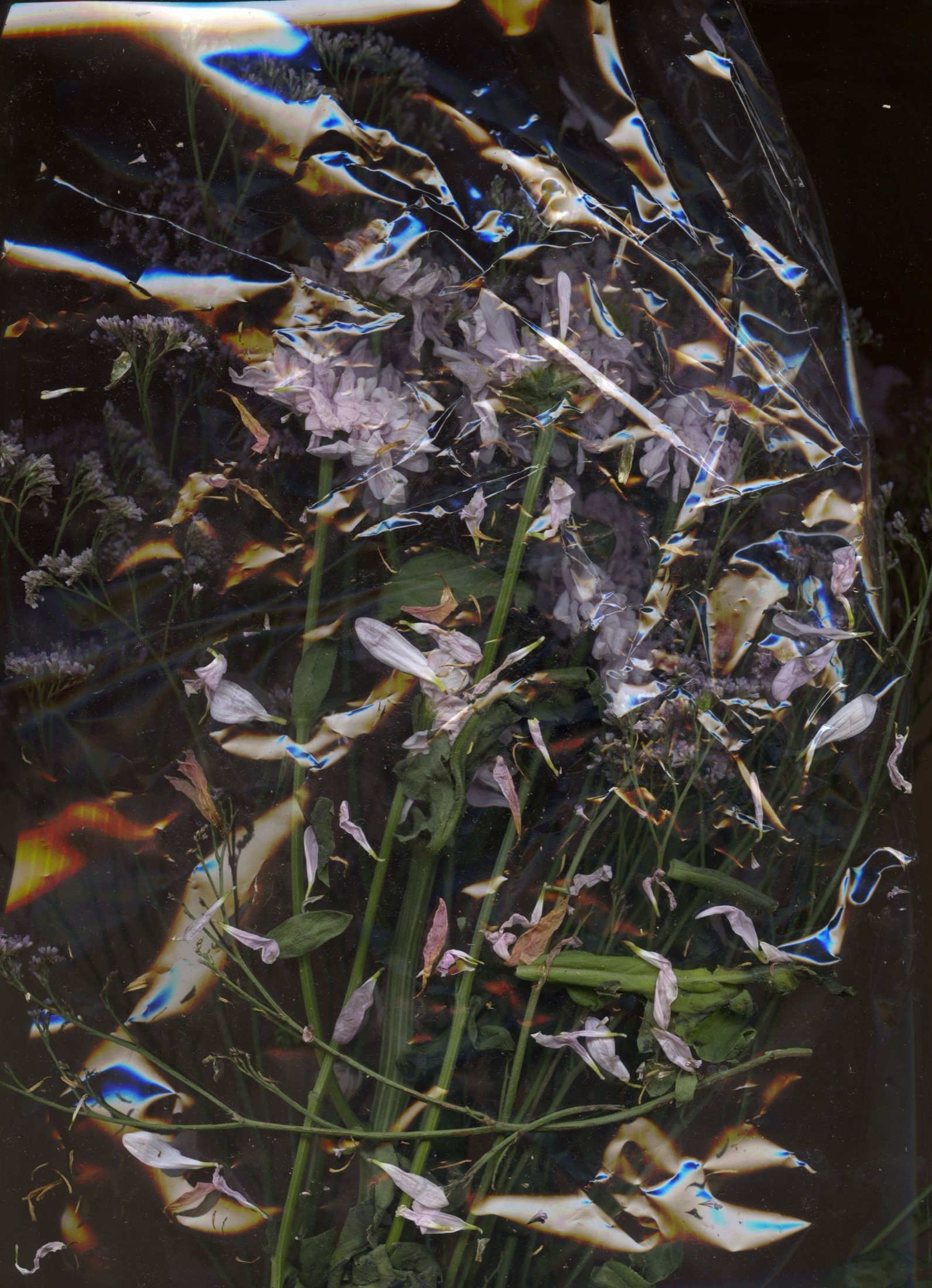 Expérimentation scan