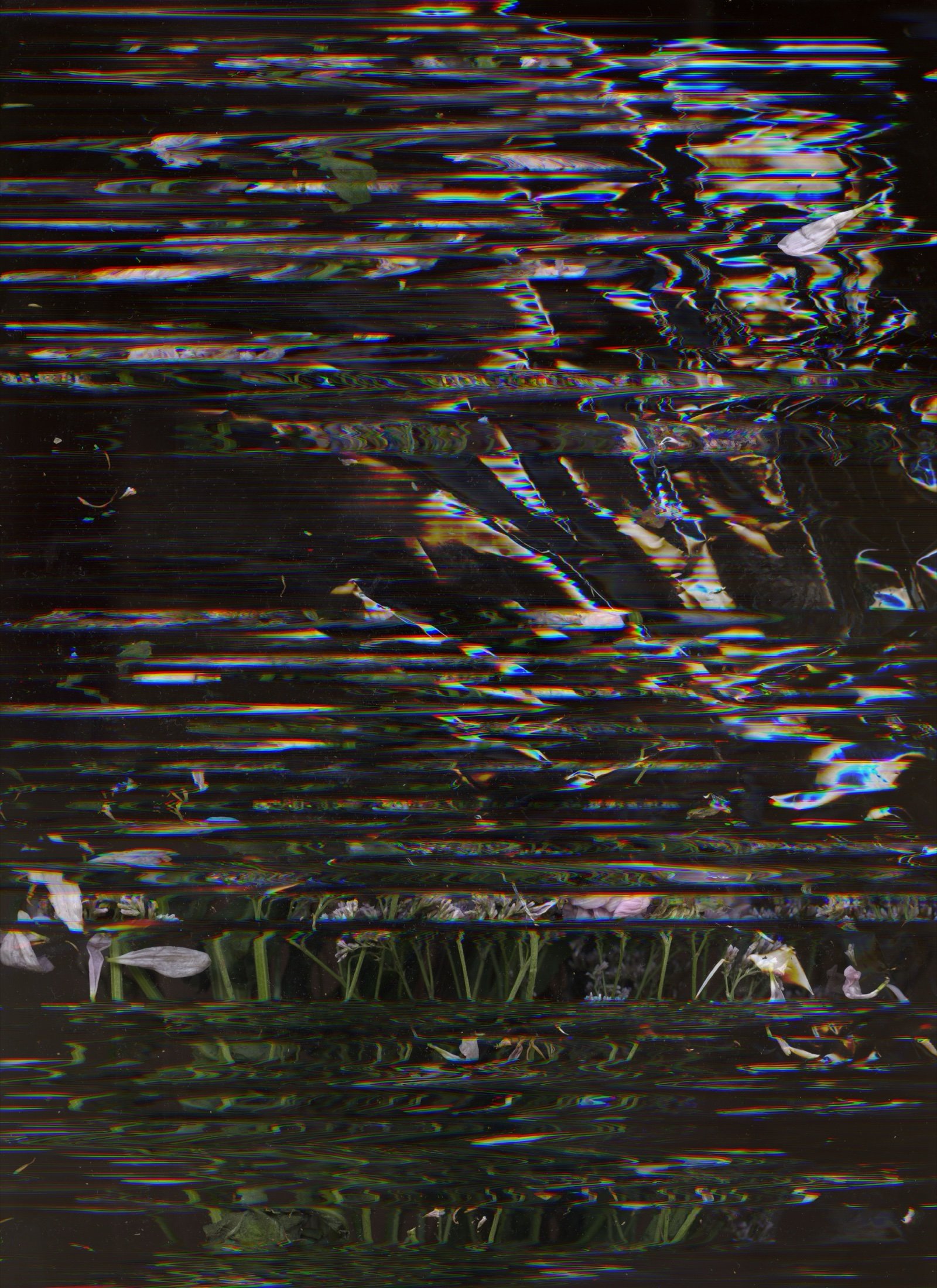 Expérimentation scan