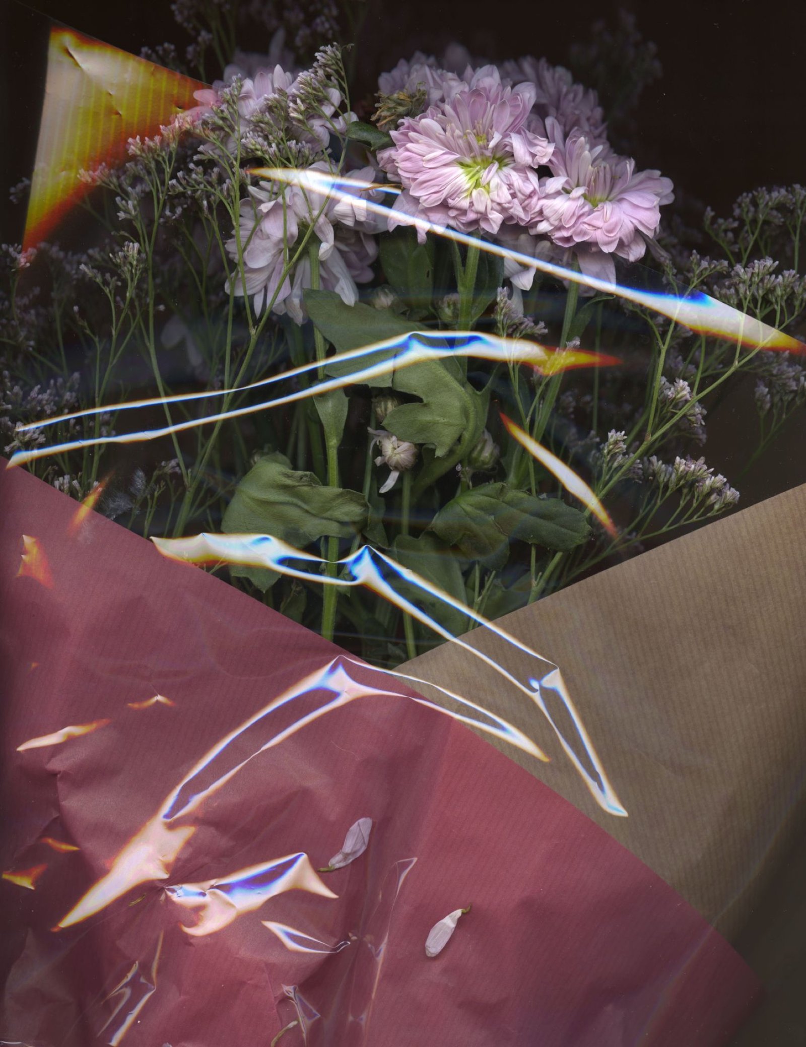 Expérimentation scan